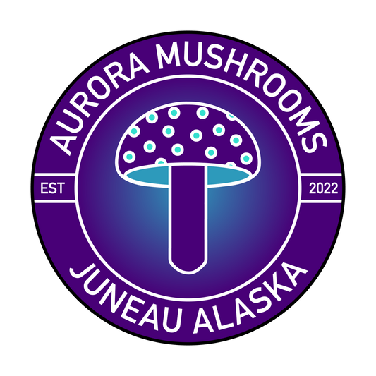 Aurora Mushrooms Sticker